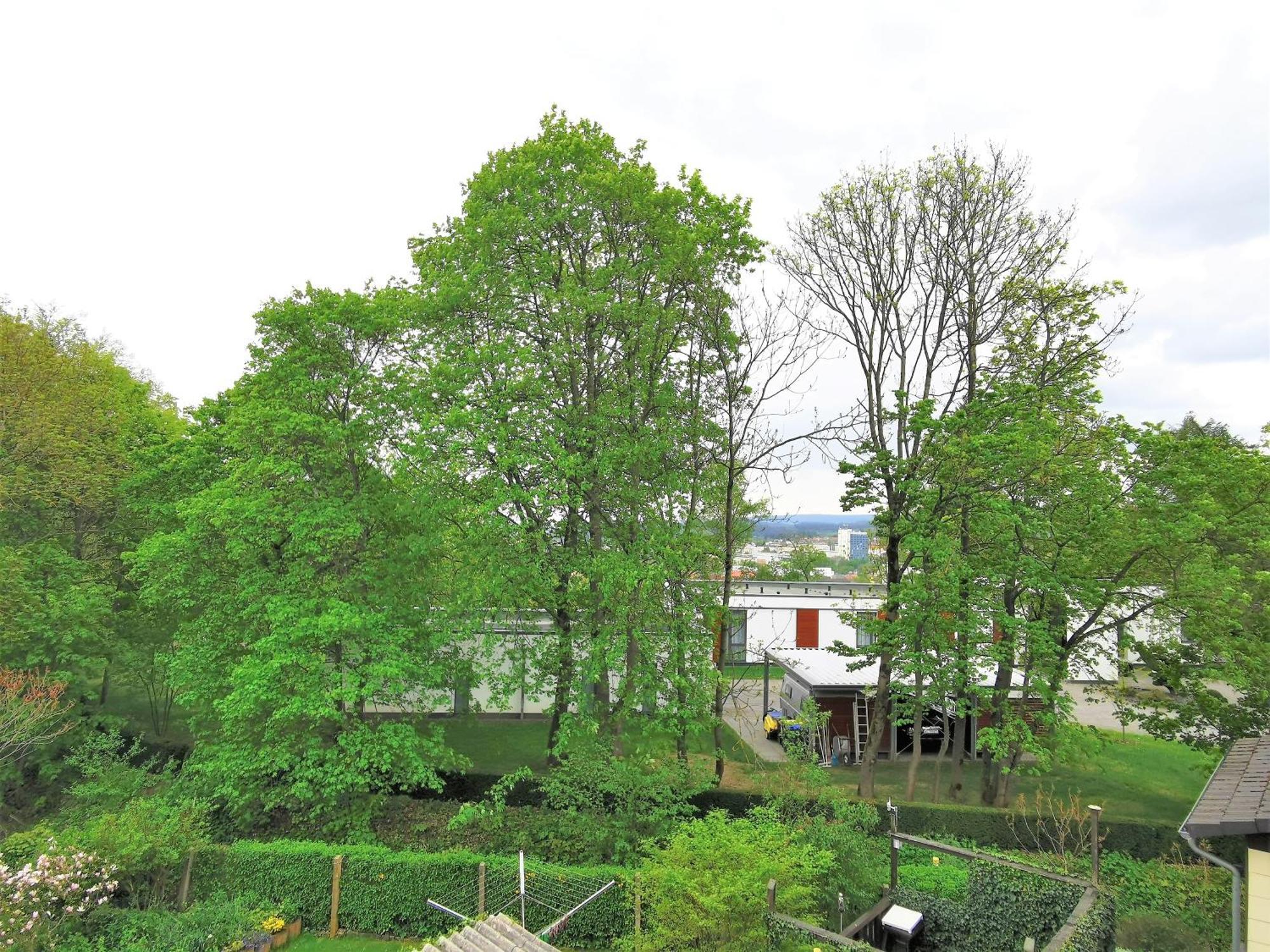 Bohnapartments - Stadtblick Zechenhaus - Balkon - Gratis Parkplatz - Wlan - Sehr Ruhig - Barrierearm Ilmenau Exterior foto
