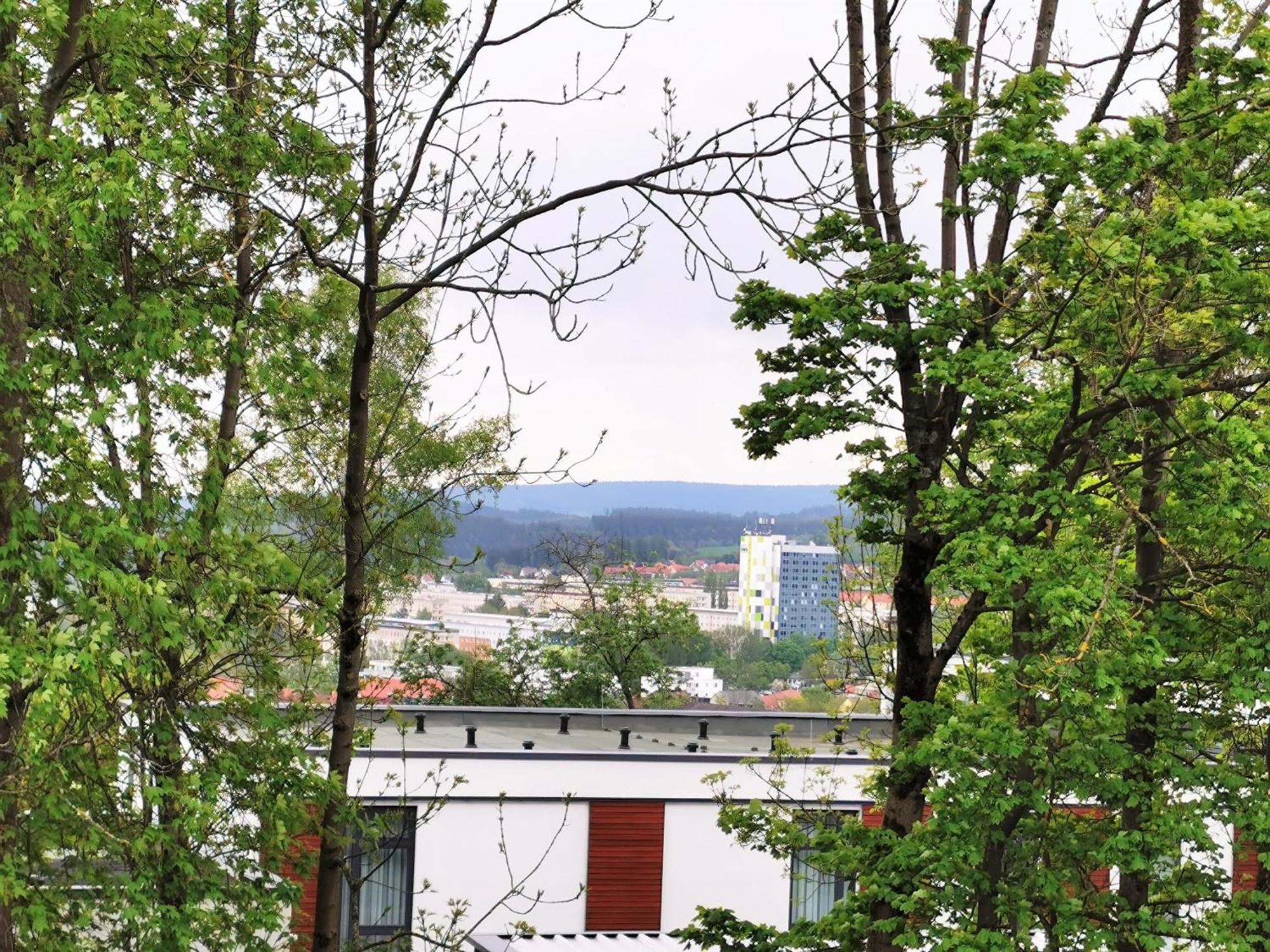Bohnapartments - Stadtblick Zechenhaus - Balkon - Gratis Parkplatz - Wlan - Sehr Ruhig - Barrierearm Ilmenau Exterior foto